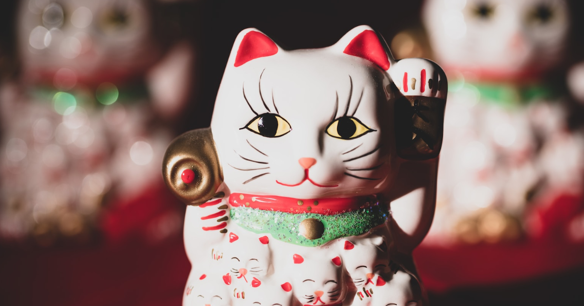 猫