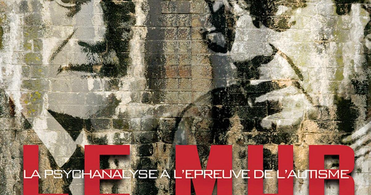 Le Mur ou la psychanalyse à l'épreuve de l'autisme (Sophie Robert, 2011)