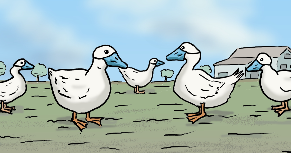 Alerte grippe aviaire !