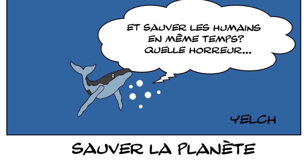 Don't kill the whale