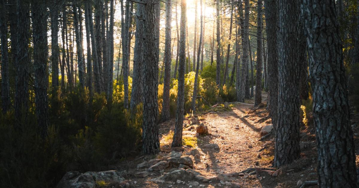 Episode 5 - La mission