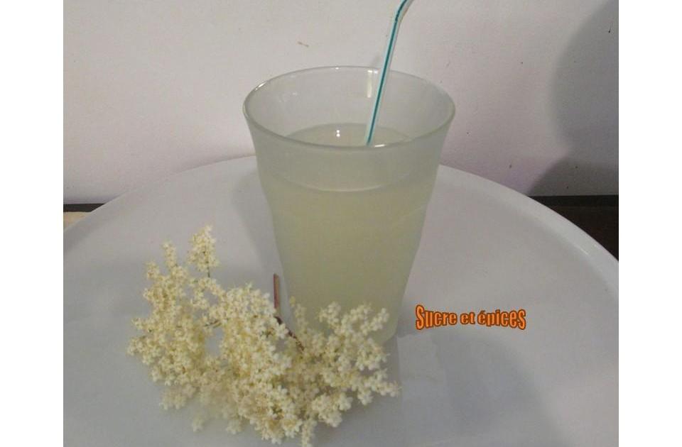 Boisson fermentée aux fleurs de sureau - Socata