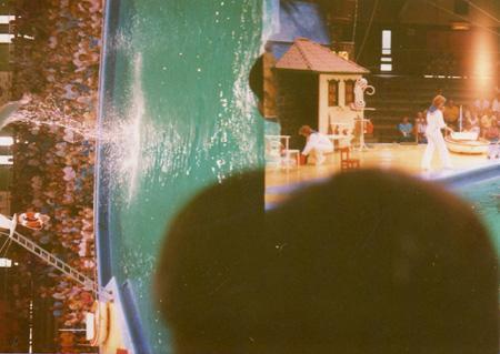 On Hungarian Political Poetry (an essay)