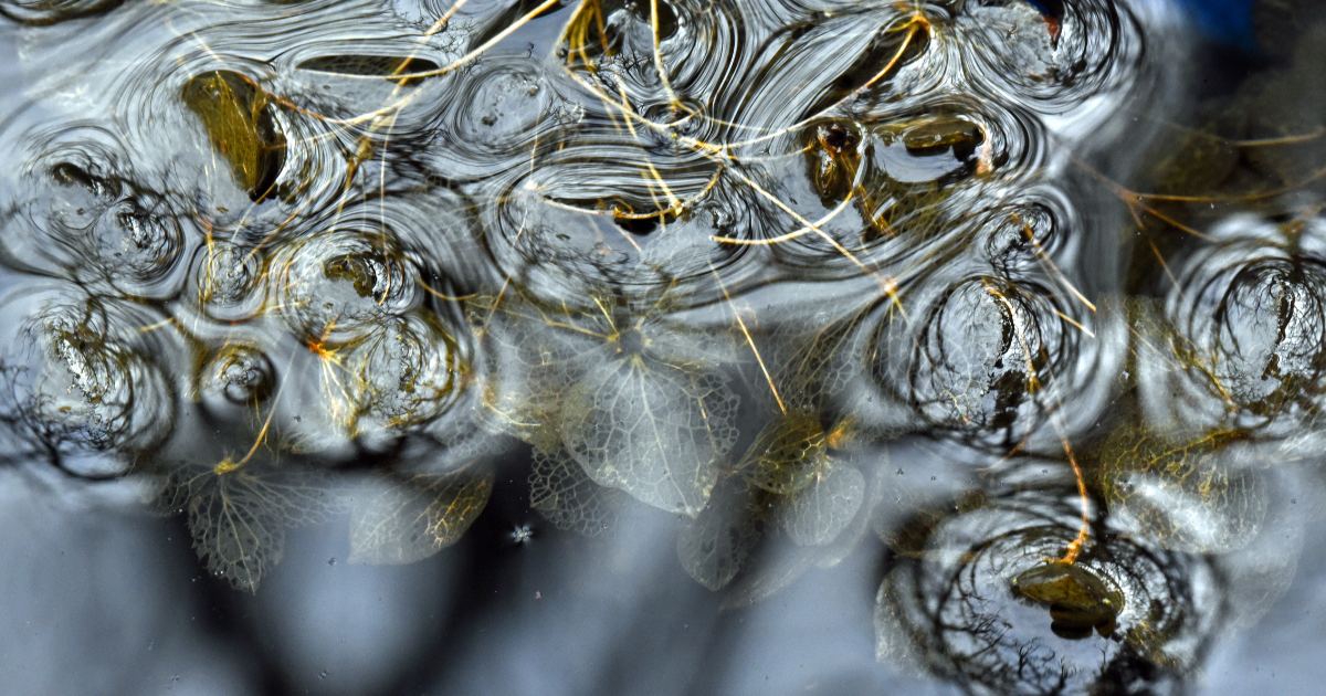 Le chant des possibles