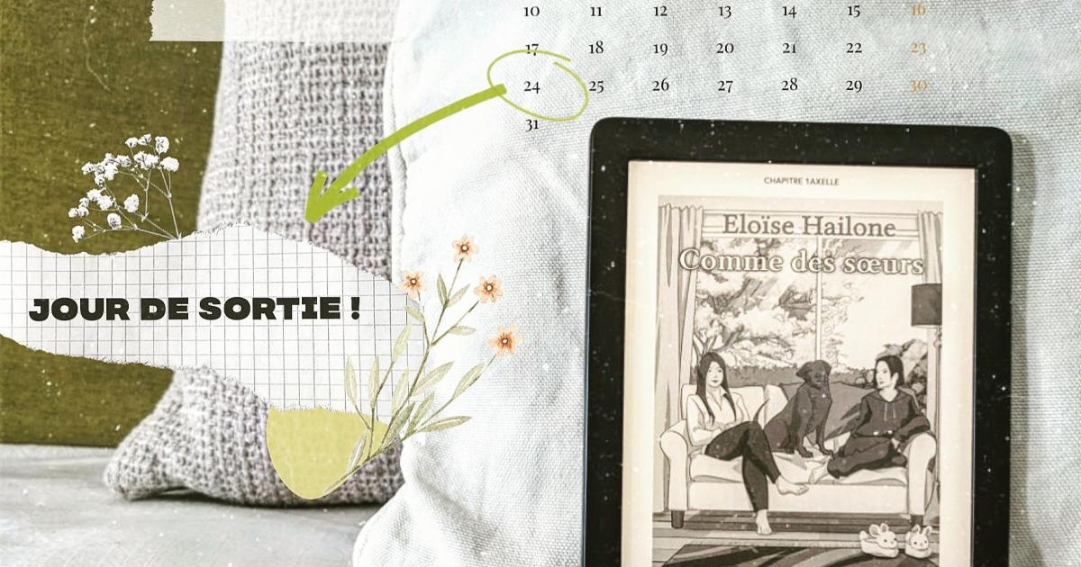 Book'n'furious : Comme des sœurs - Eloïse Hailone