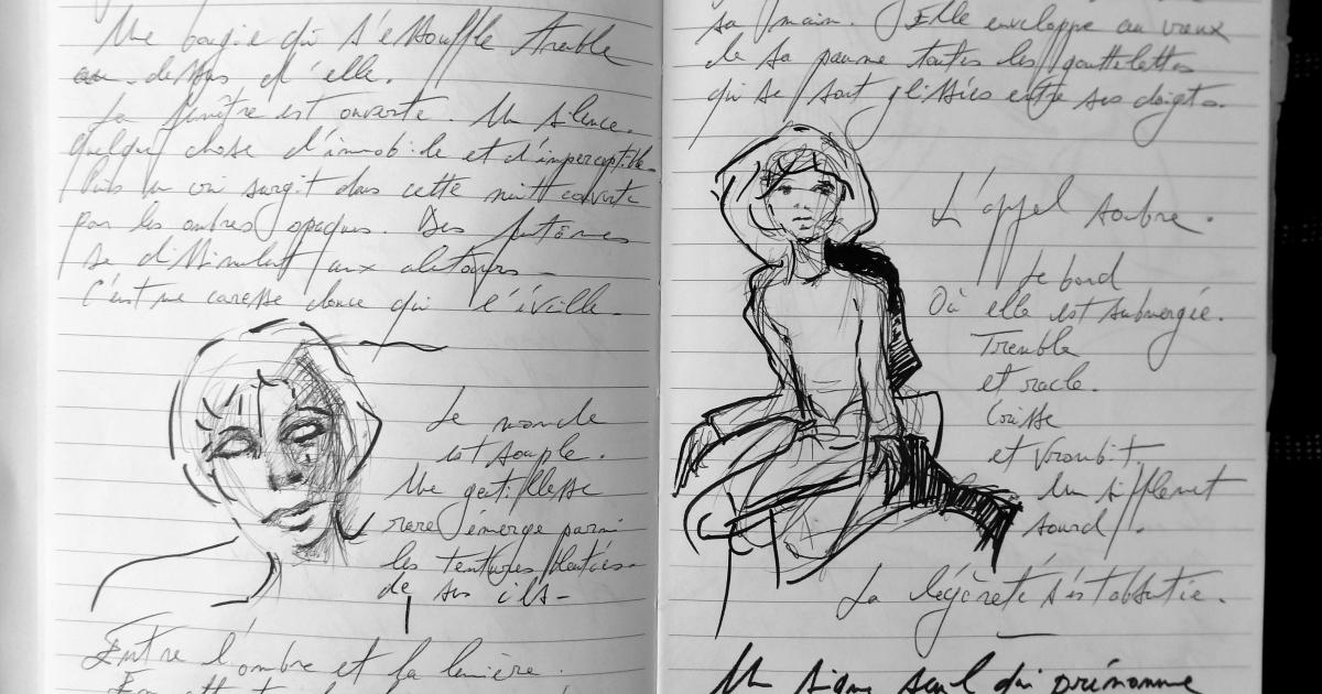 Petits papiers volants : journal d'écriture 2003-2018 - 2 janvier 2018