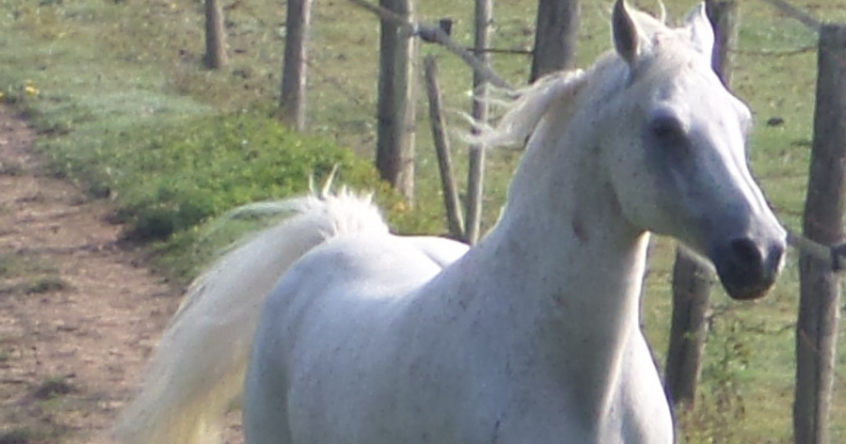 N'attends pas le dernier jour de ta vie ...