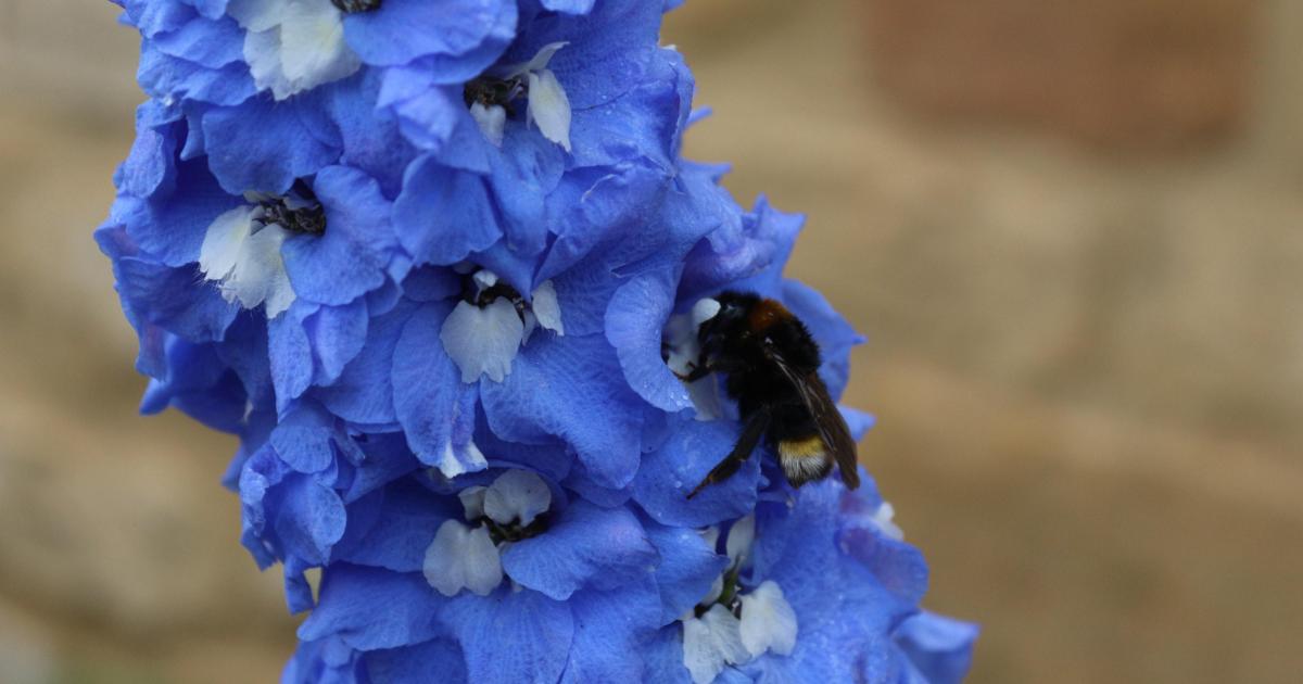 un écrin de Klein enroulait la planète...Photo by Another Day Xx on Unsplash