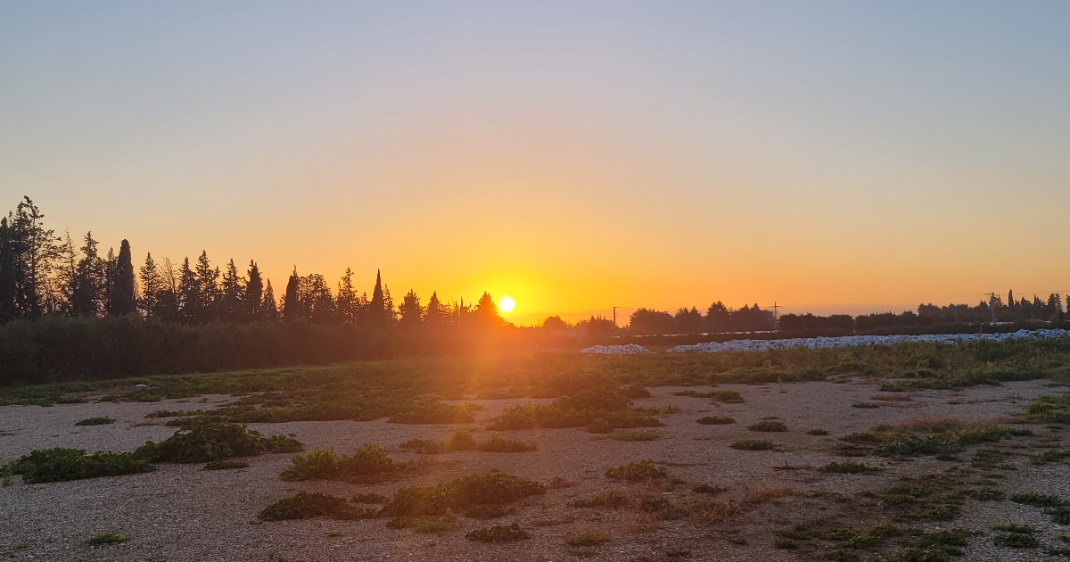Les clients, ça tente 🤦🤣