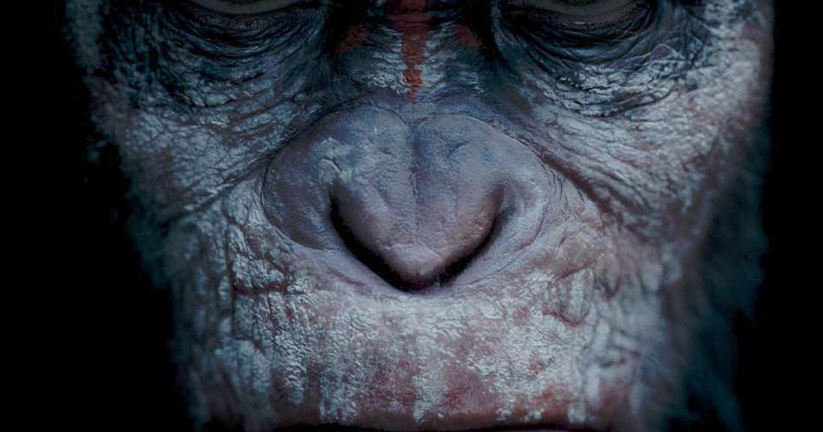 La Planète des Singes : l'Affrontement