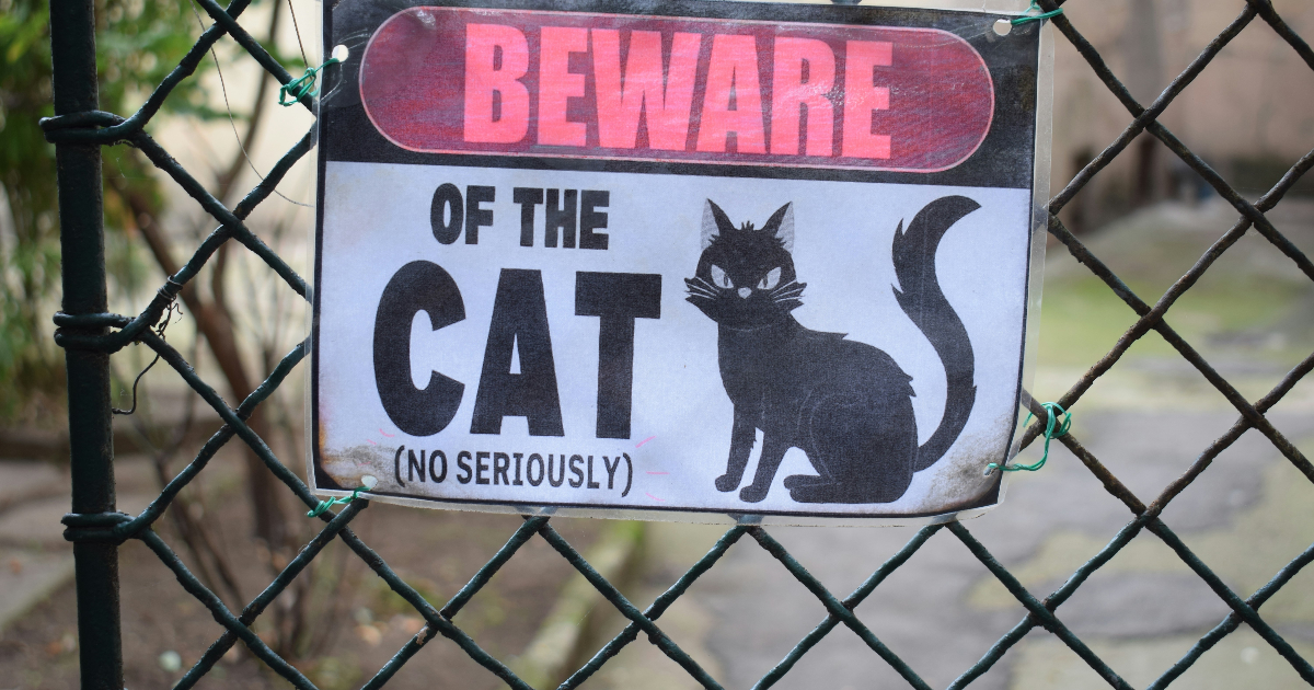 L'affaire du Chat perché...