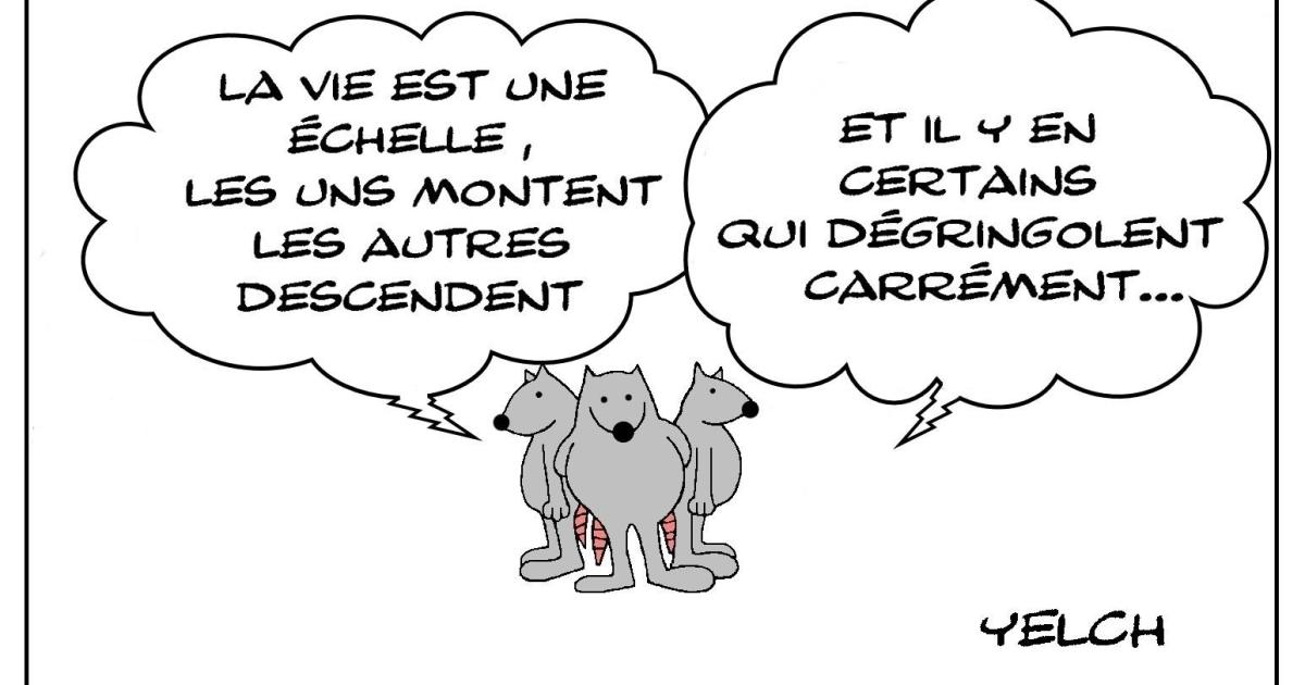 La vie , une échelle souvent casse-gueule