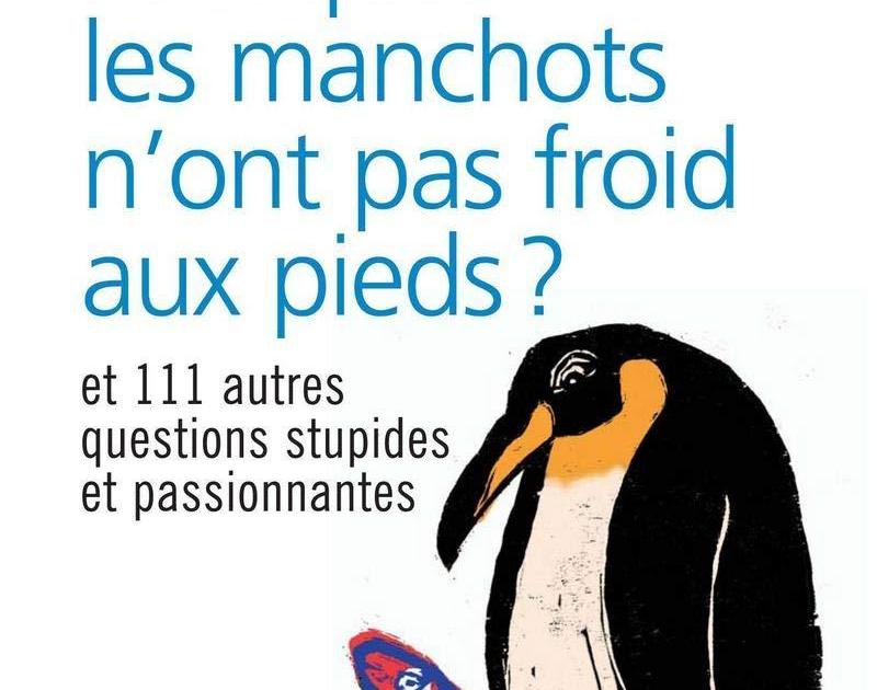 Pourquoi les manchots n'ont pas froid aux pieds ?