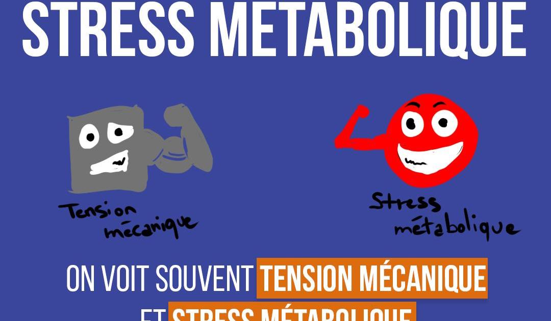 La tension mécanique et le stress métabolique