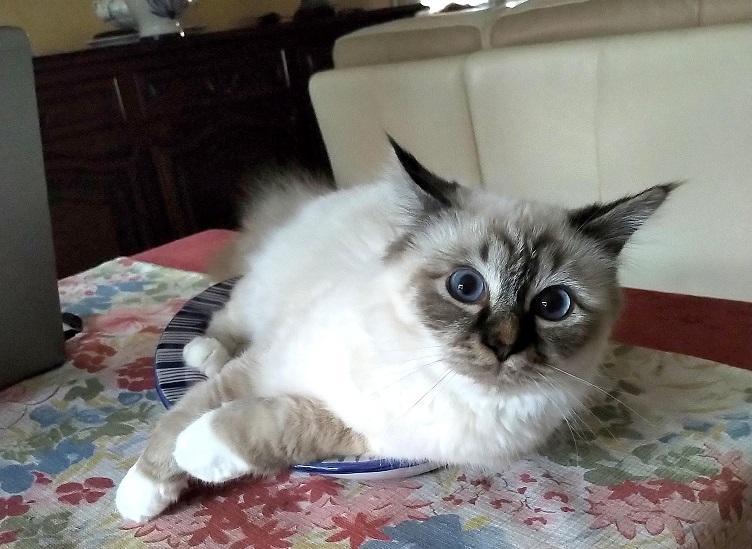 Nous sommes le miroir de l'autre