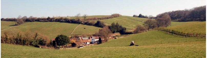 Dans les parfums de mon enfance