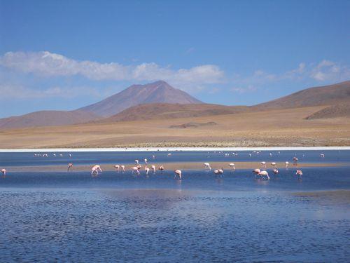 Le clou du spectacle : el Salar de Uyuni