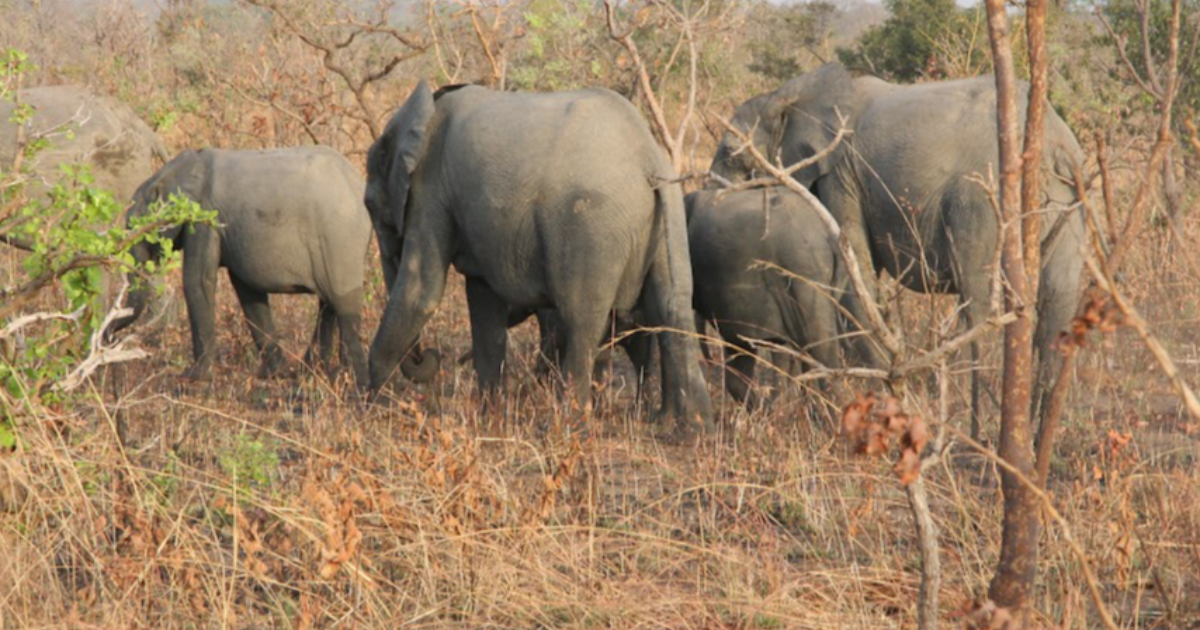 Carnet de voyage au Burkina Faso