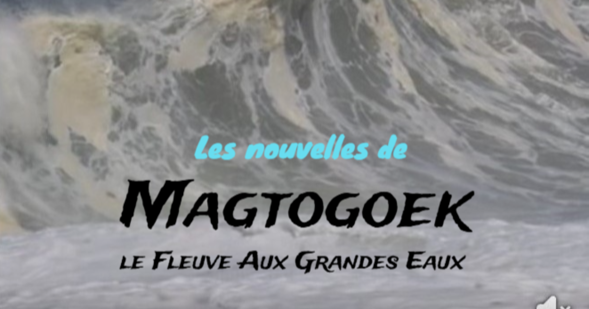 Les nouvelles de Magtogoek #8