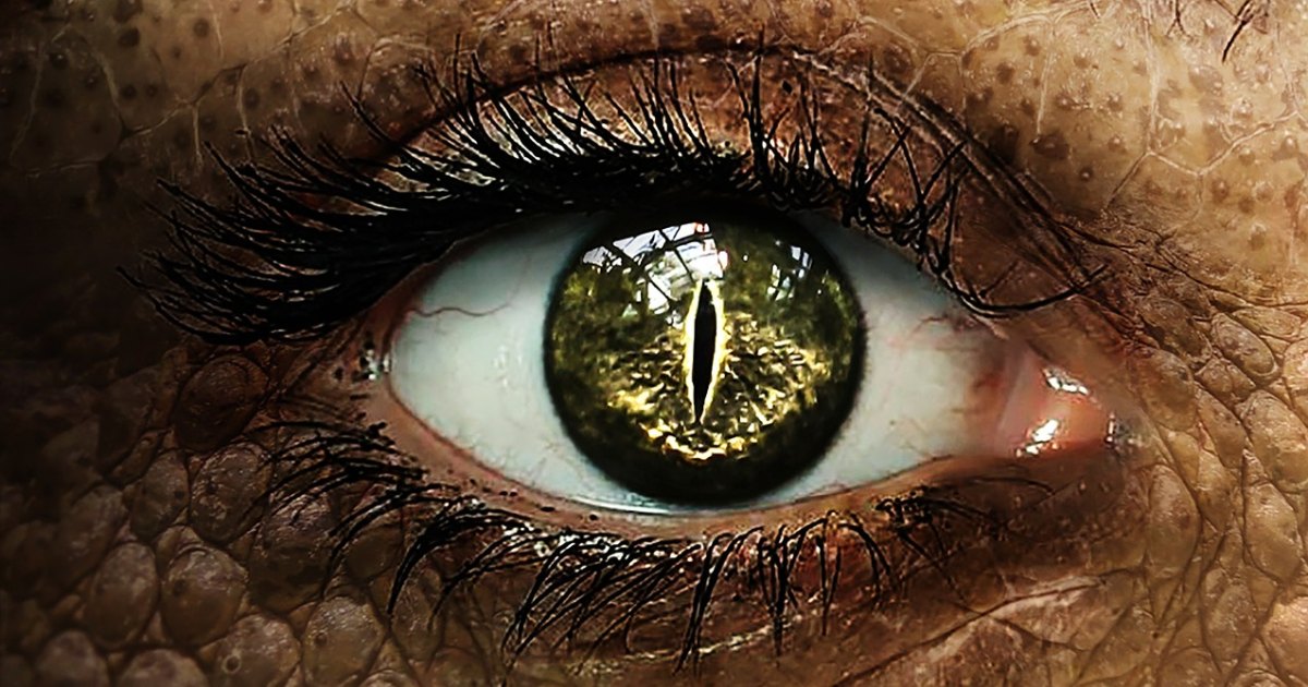 Spin-off : En Cubovision