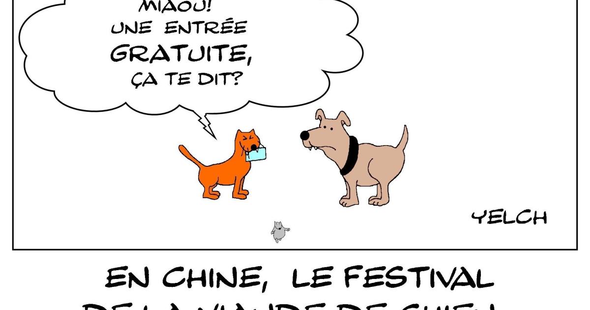 en chine , le festival de la viande de chien ouvre ses portes