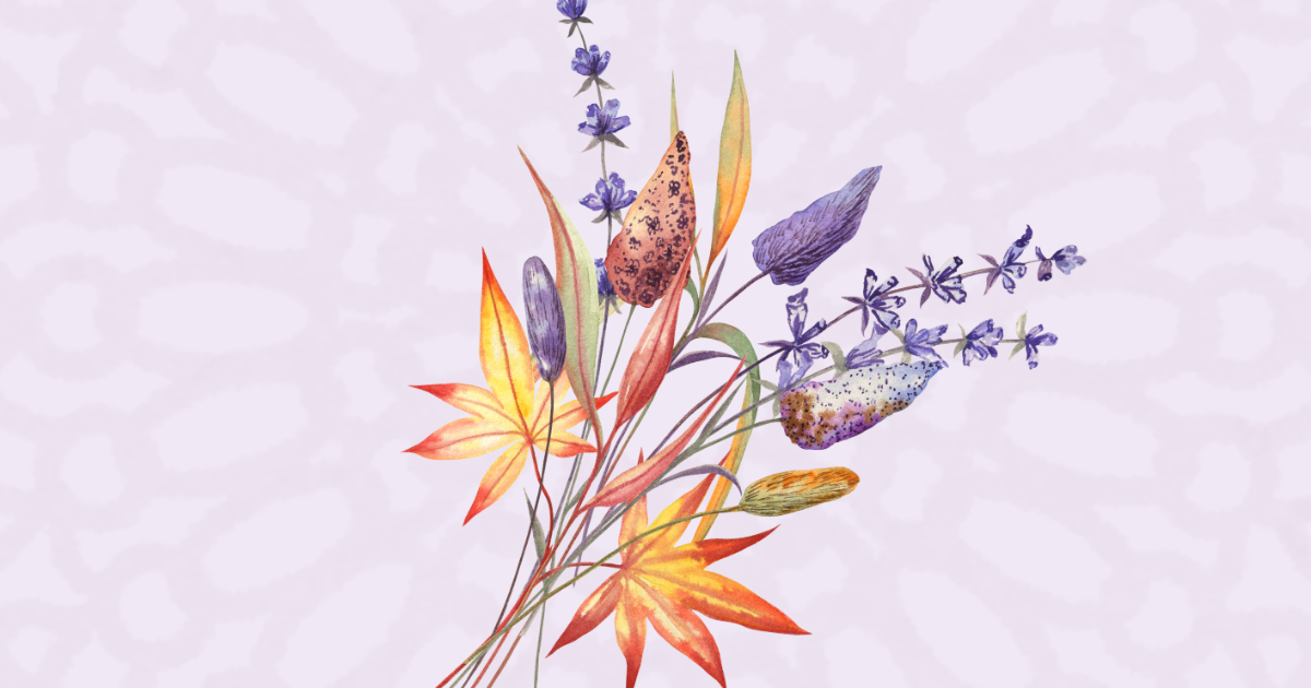 Festina Lente - Chapitre 3