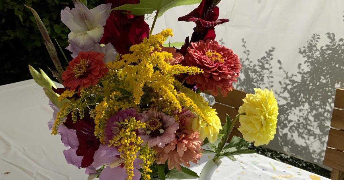 Le jardin du 9 Août