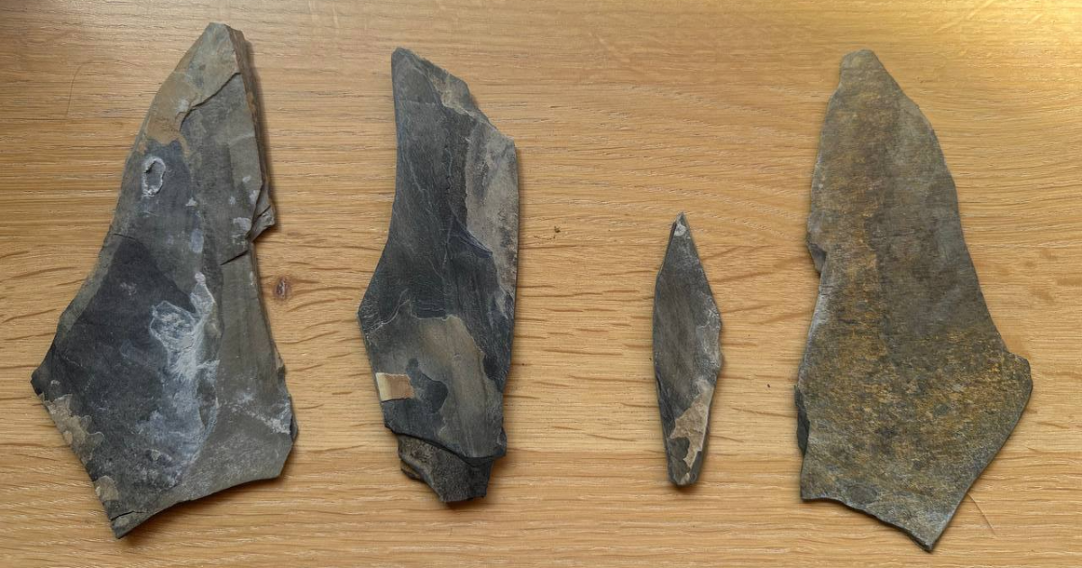 L’Alpine de mon quartier, bernoise à se faire par devant : la Dent de Morcles