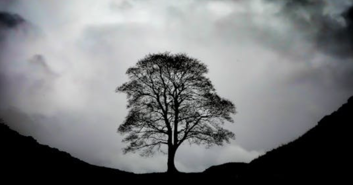 RUSSIA PROBE, Mr Attorney General, and ... friends of Assange