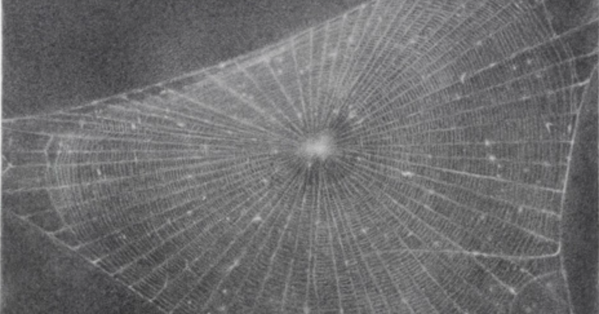 Control Obession into serious Cases