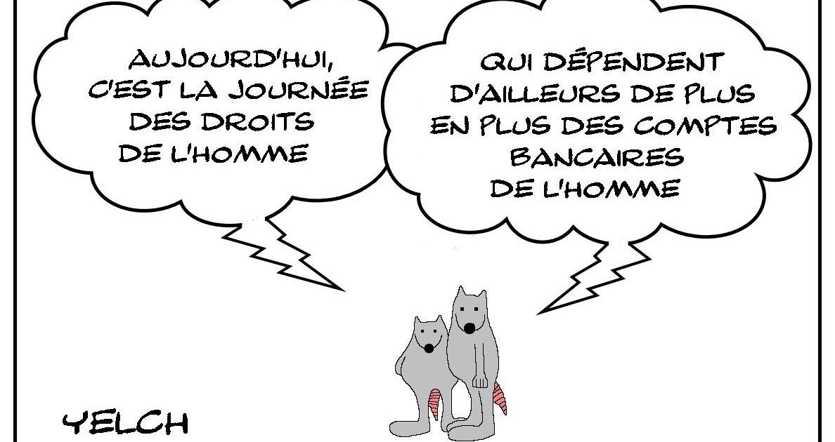 La journée des droits de l'homme vue par les rats