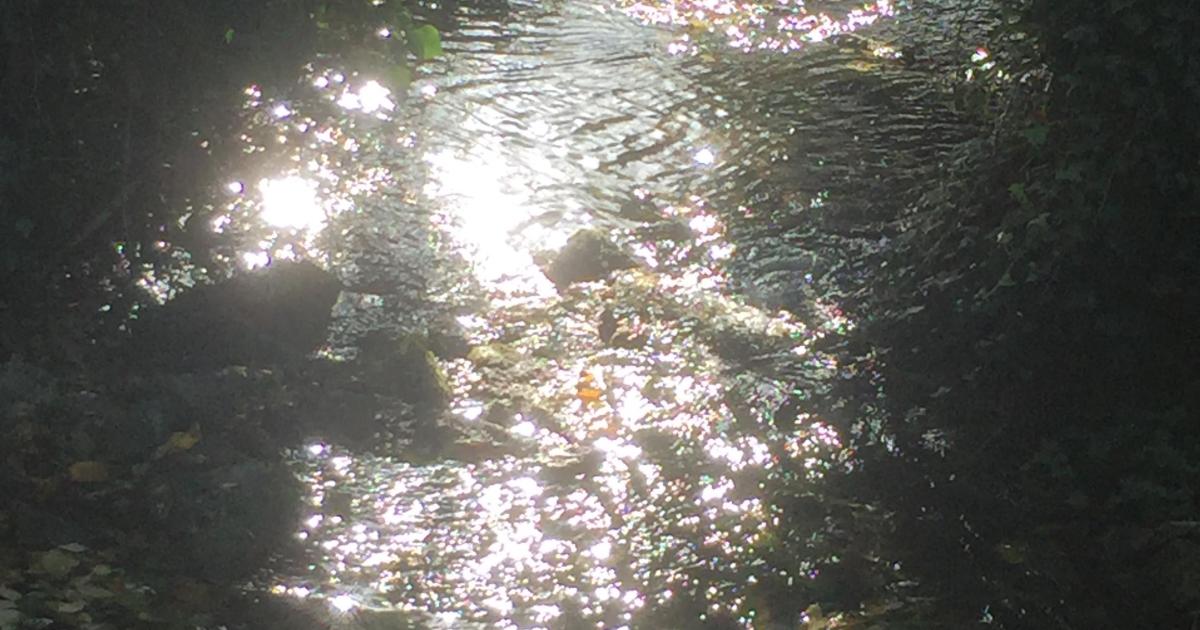 Le jardin du 19 Juillet