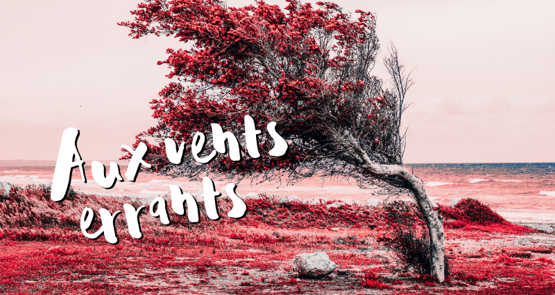 Aux vents errants