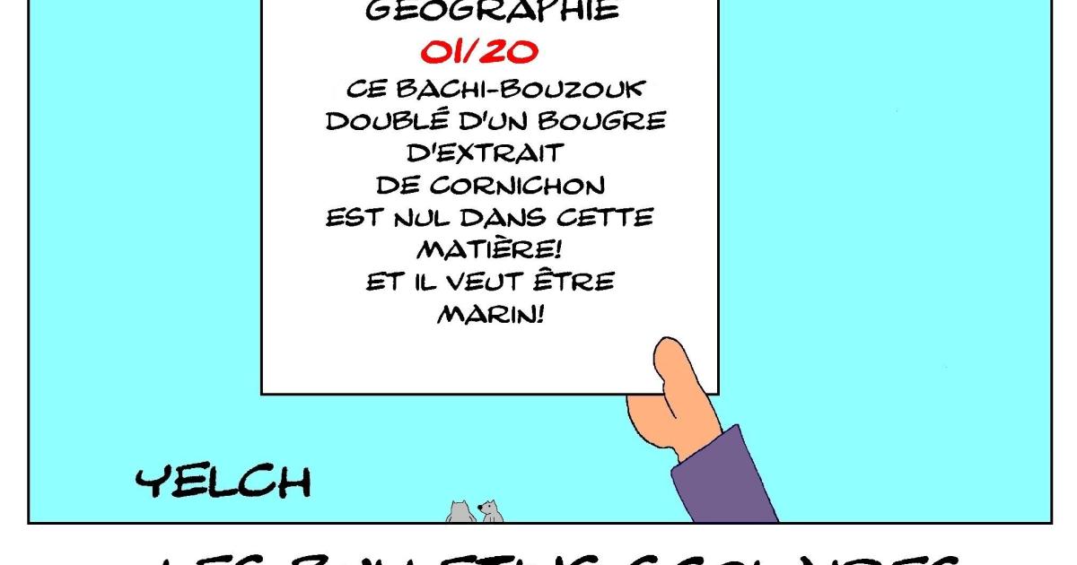 les bulletins scolaires du Capitaine Haddock : géographie