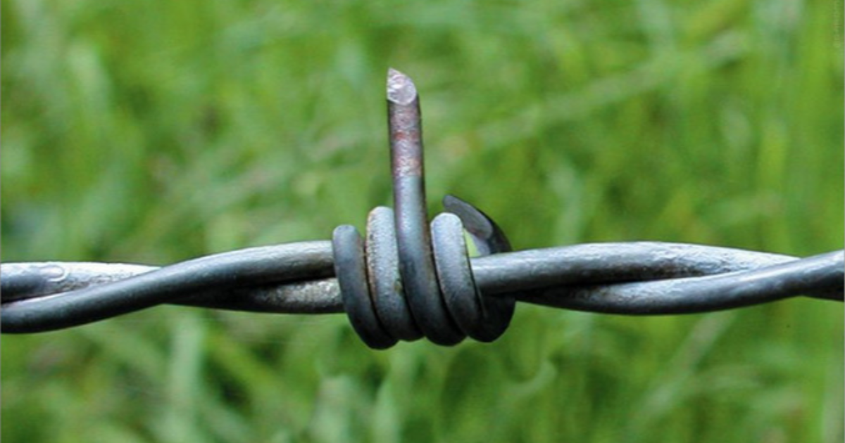 PAR DELA LES FRONTIERES