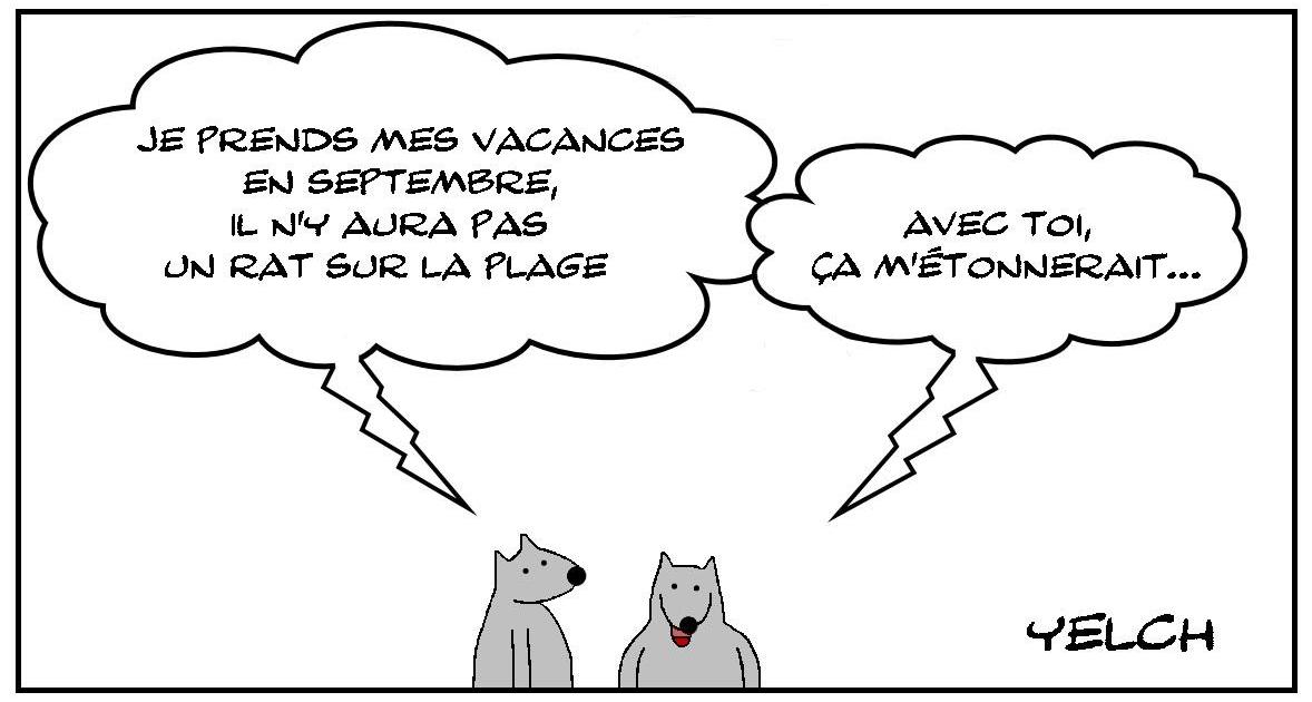 Pas un rat...