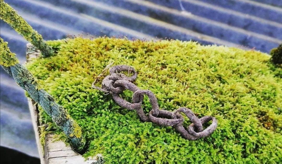 Peut-être que j'ai voulu tué ma psy aussi