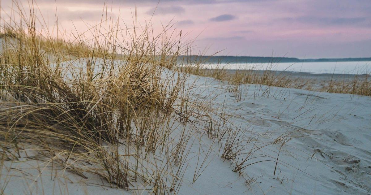 Derrière la dune