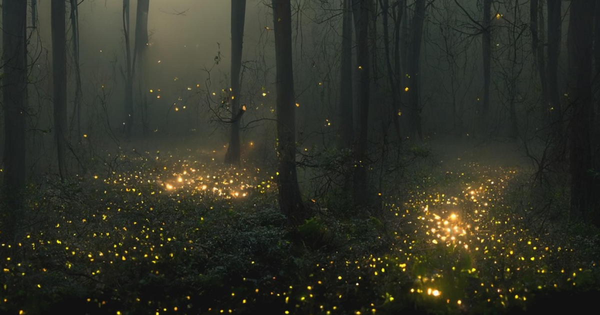 Préquel Odyssées cosmiques : Luciole