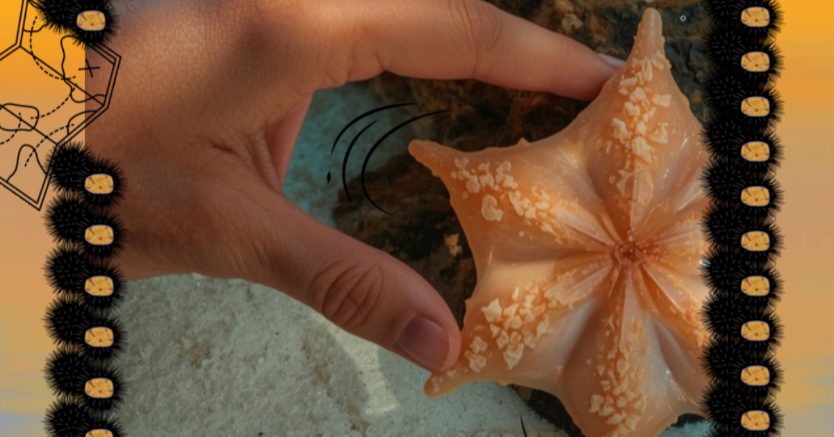 #Linktober2025; 🌊L’étoile des mers