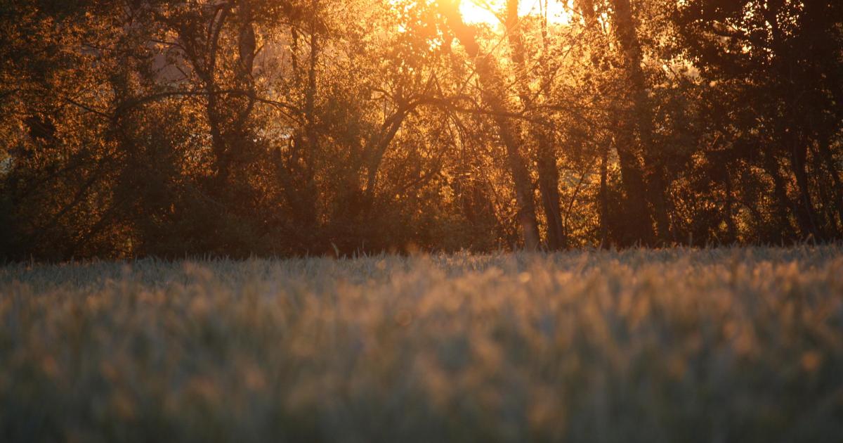 Marie-Thérèse, femme présente