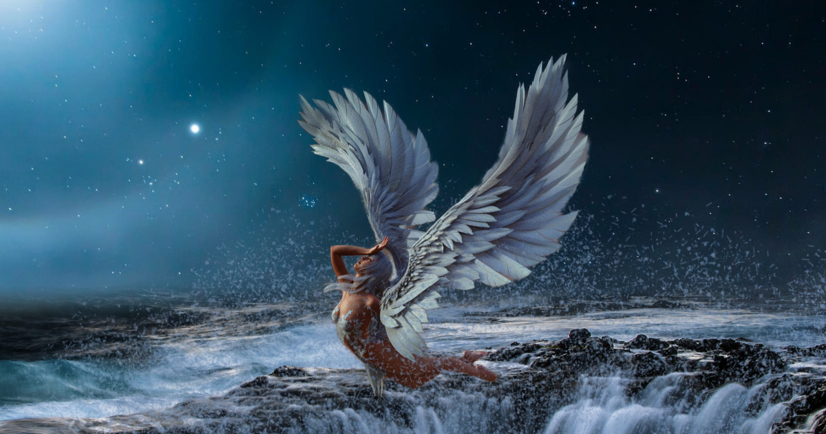 L'envol de l'ange