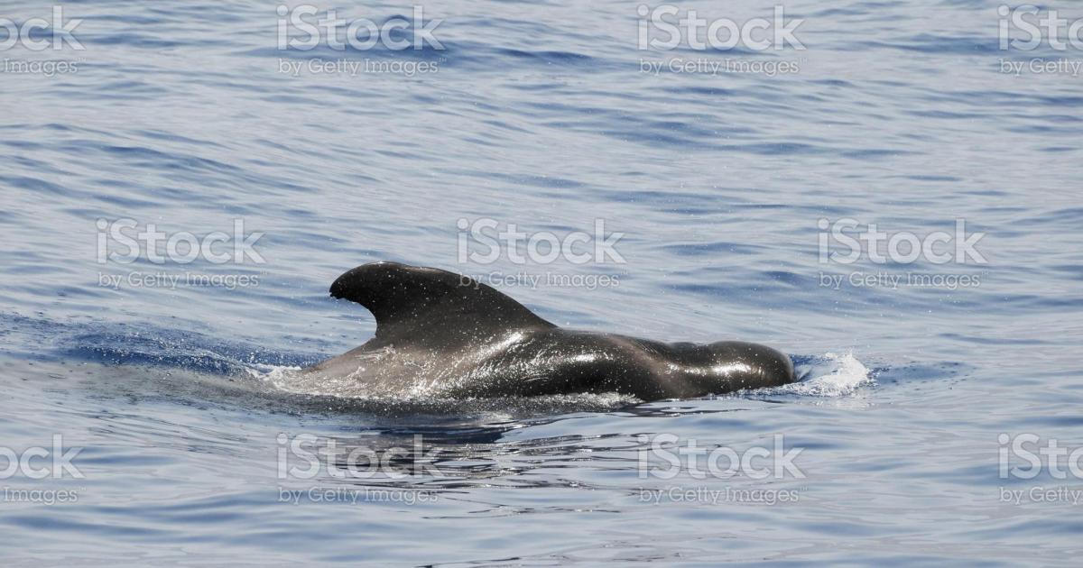 Chapitre 14 Valérie se prend en main