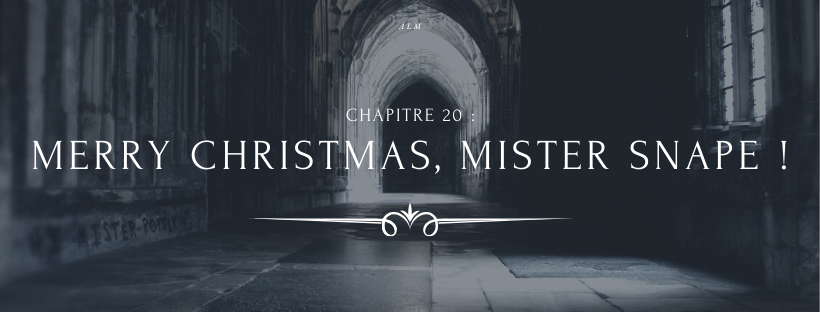 A la Moldue - Chapitre 20 : Merry Christmas, Mister Snape !