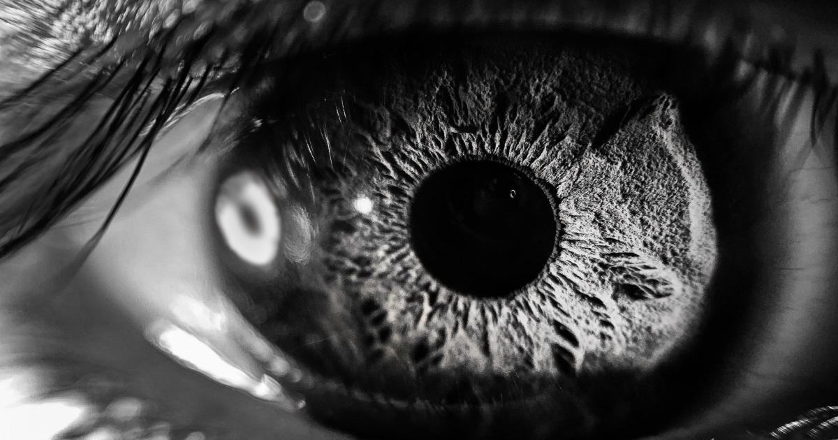 Les larmes de nos vies