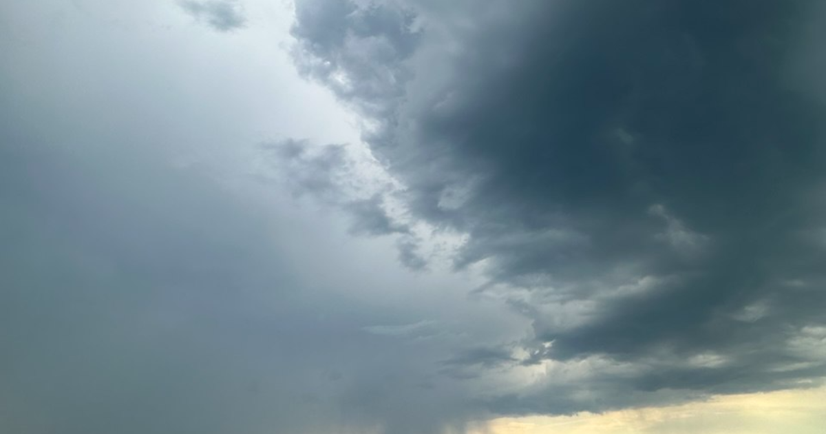 Contre le bruit, contre la vitesse : pourquoi 2026 sera une année marquante pour Panodyssey