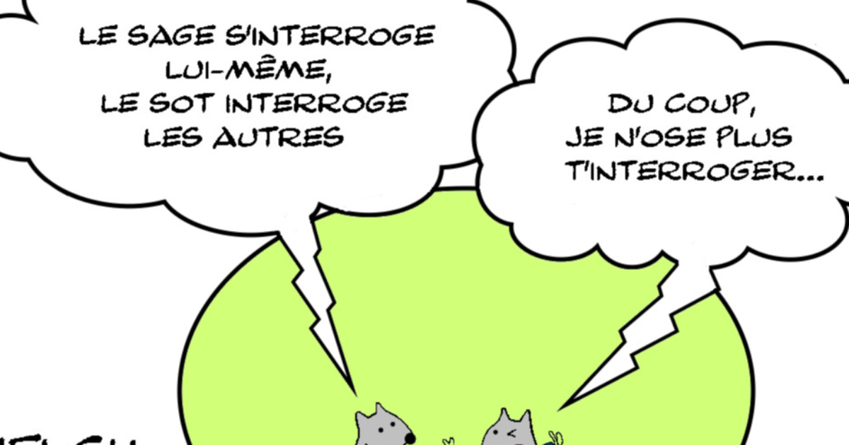 Interrogation , sot et sage