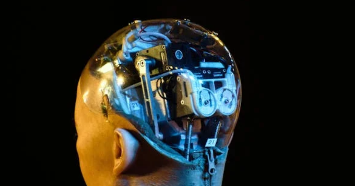 Haut Potentiel Intellectuel