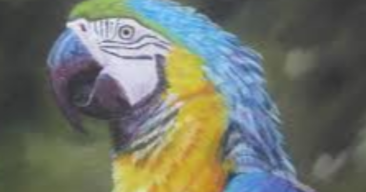 Pastel