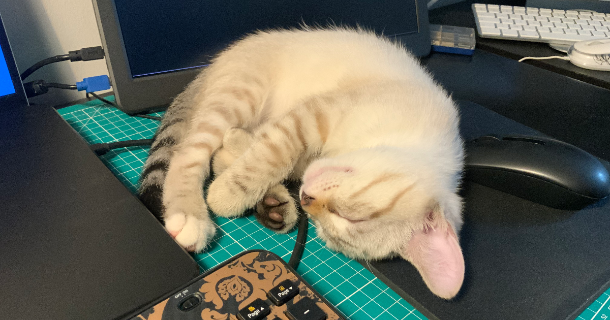 Pourquoi je n’accepte pas toutes les demandes de connexion